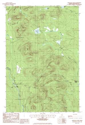 Greenlaw Pond USGS topographic map 46068f6