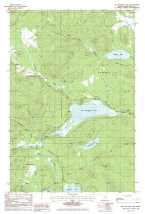 Big Machias Lake USGS topographic map 46068f7