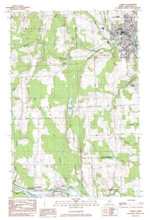 Caribou USGS topographic map 46068g1