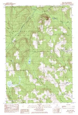 Mud Lake USGS topographic map 46068h2