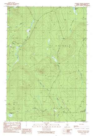 Ragmuff Stream USGS topographic map 46069a5