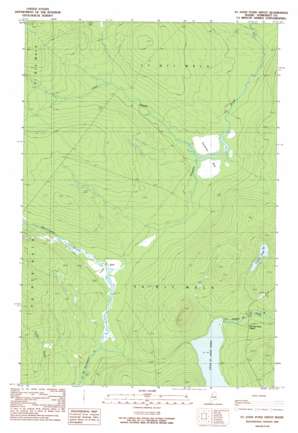 Saint John Pond Depot USGS topographic map 46069b8