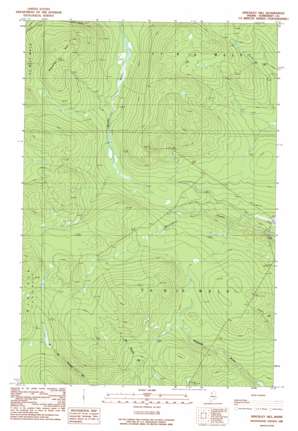 Hinckley Hill USGS topographic map 46070b1