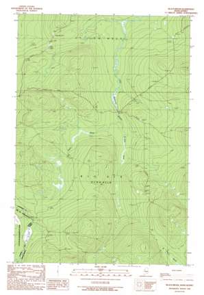 Black Brook USGS topographic map 46070b2