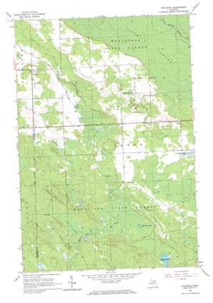 Stalwart USGS topographic map 46084a2