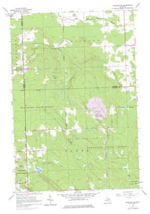 Pickford SE USGS topographic map 46084a3