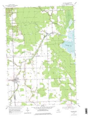 Pickford USGS topographic map 46084b3