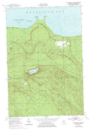 McNearney Lake USGS topographic map 46084d8