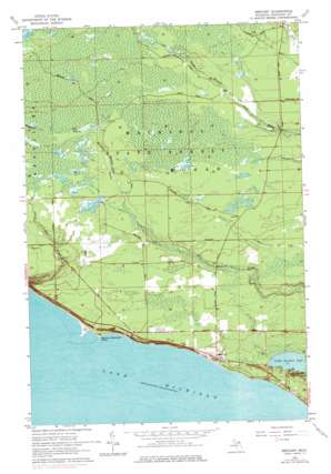 Brevort USGS topographic map 46085a1