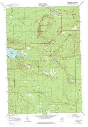 Eckerman USGS topographic map 46085c1