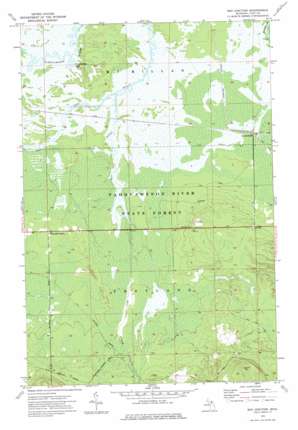 Soo Junction USGS topographic map 46085c3