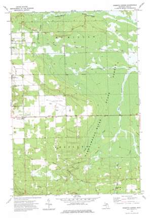 Roberts Corner USGS topographic map 46085c4