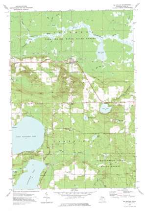 McMillan USGS topographic map 46085c6