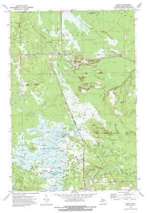Seney USGS topographic map 46085c8