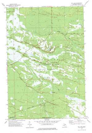 Roy Lake topo map