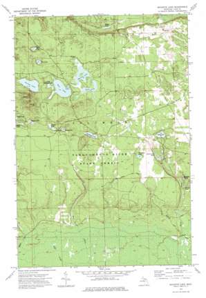 Buckeye Lake USGS topographic map 46085d6