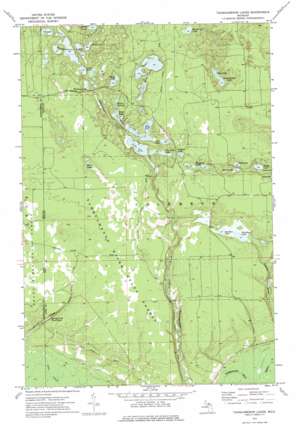 Tahquamenon Lakes USGS topographic map 46085d7