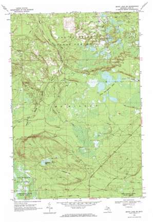 Betsy Lake SW USGS topographic map 46085e4