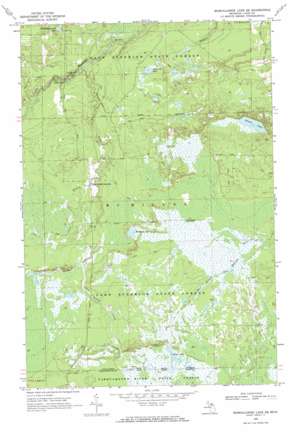 Muskallonge Lake SE USGS topographic map 46085e5
