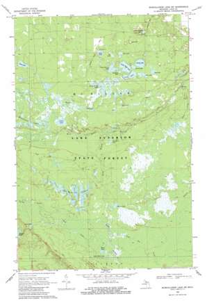 Muskallonge Lake SW USGS topographic map 46085e6