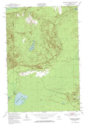 Sheephead Lake USGS topographic map 46085f2
