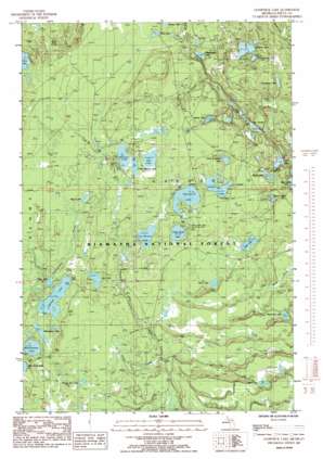 Gooseneck Lake topo map