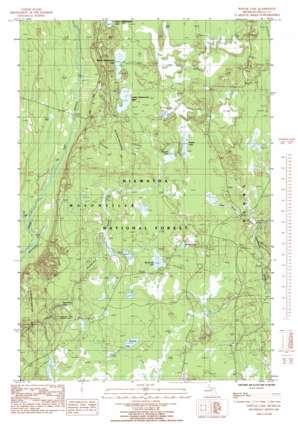 Poplar Lake USGS topographic map 46086a7