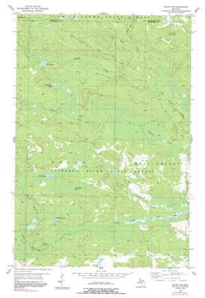 Ralph NE USGS topographic map 46087b7