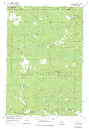 Ralph Nw topo map