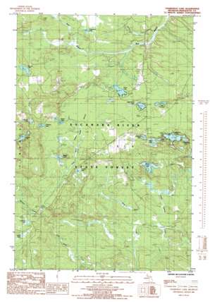 Chabeneau Lake USGS topographic map 46087c7