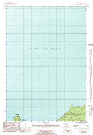 Laughing Fish Point USGS topographic map 46087e1
