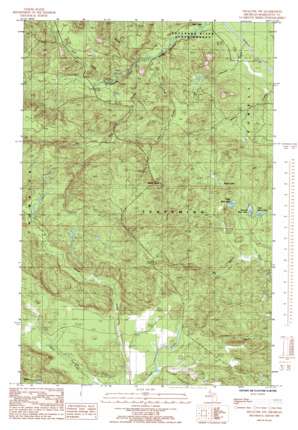 Negaunee NW USGS topographic map 46087f6