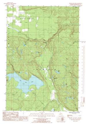Silver Lake Basin topo map