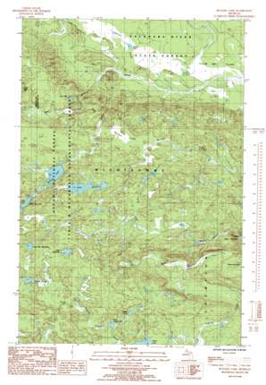 Bulldog Lake USGS topographic map 46087f8