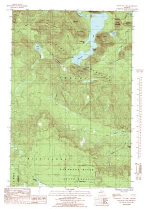 Mountain Lake USGS topographic map 46087g8