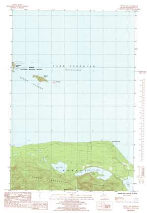 Howe Lake USGS topographic map 46087h8