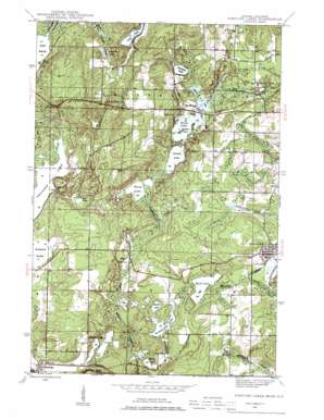 Fortune Lakes topo map