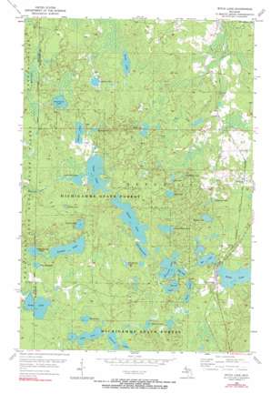 Witch Lake USGS topographic map 46088c1