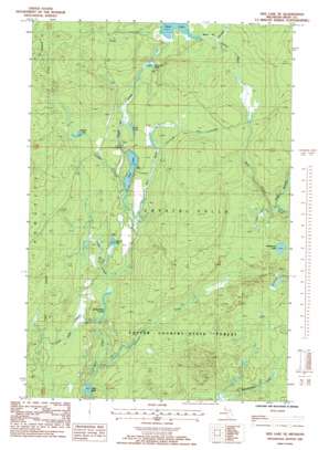 Ned Lake SE USGS topographic map 46088c3