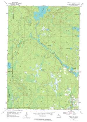 Witch Lake NE USGS topographic map 46088d1