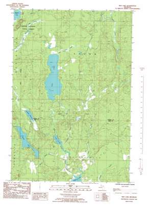 Ned Lake topo map
