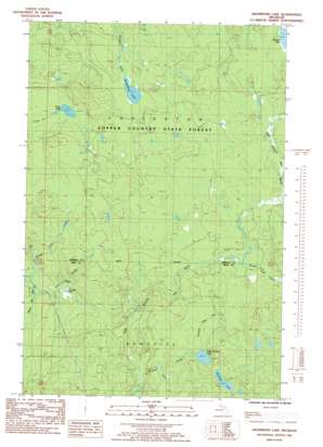 Drummond Lake USGS topographic map 46088d4