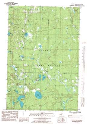 Marten Lake USGS topographic map 46088d6