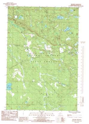 Nestoria USGS topographic map 46088e3