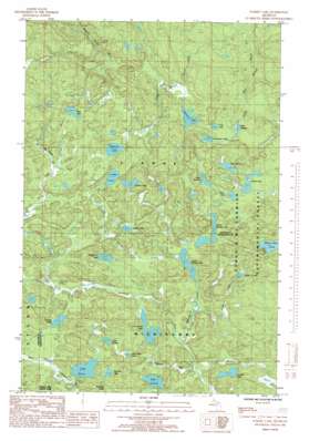 Summit Lake USGS topographic map 46088f1