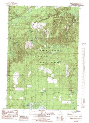 Baraga Plains USGS topographic map 46088f5