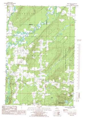 Bear Town USGS topographic map 46088g5