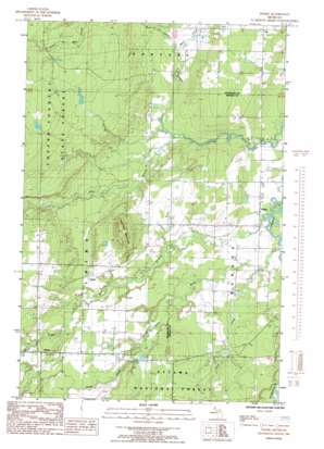 Pelkie USGS topographic map 46088g6