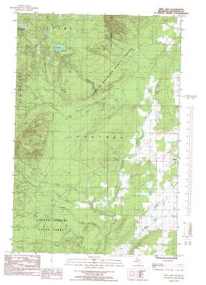 Pine Lake USGS topographic map 46088h6