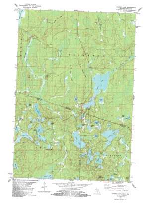 Chaney Lake USGS topographic map 46089c8